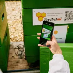 Ręka trzyma telefon, skanując kod QR na zielonym ulu.