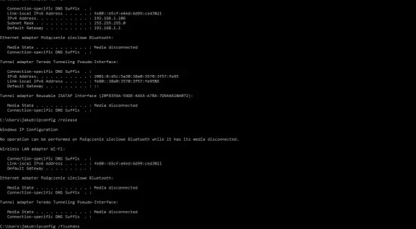 Wyniki polecenia ipconfig w wierszu poleceń Windows, pokazujące informacje o konfiguracji sieci.