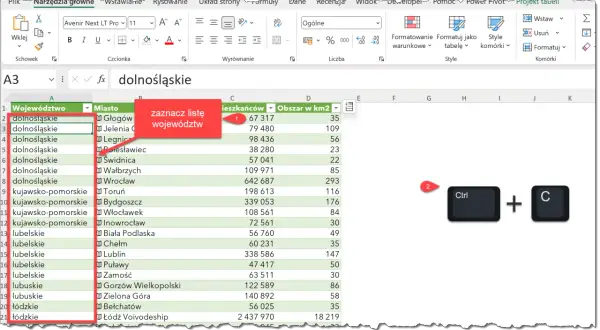 W Excelu zaznaczono listę województw. Widoczny jest skrót klawiszowy Ctrl+C do kopiowania.