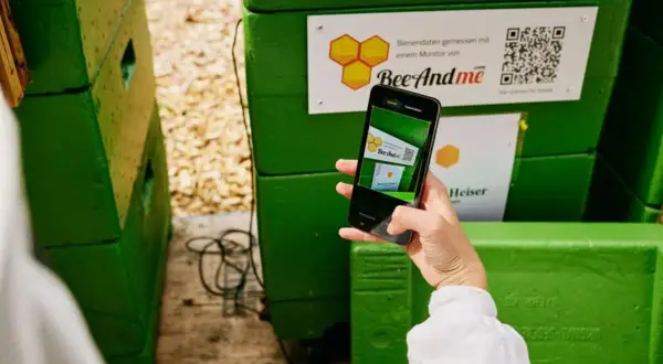 Ręka trzyma telefon, skanując kod QR na zielonym ulu.