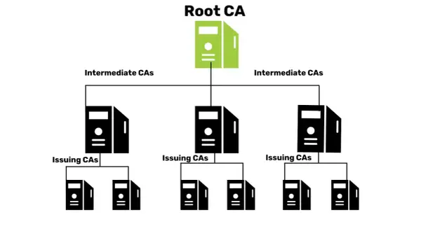 Hierarchia public key infrastructure: Root CA na szczycie, poniżej Intermediate CAs, a na dole Issuing CAs.