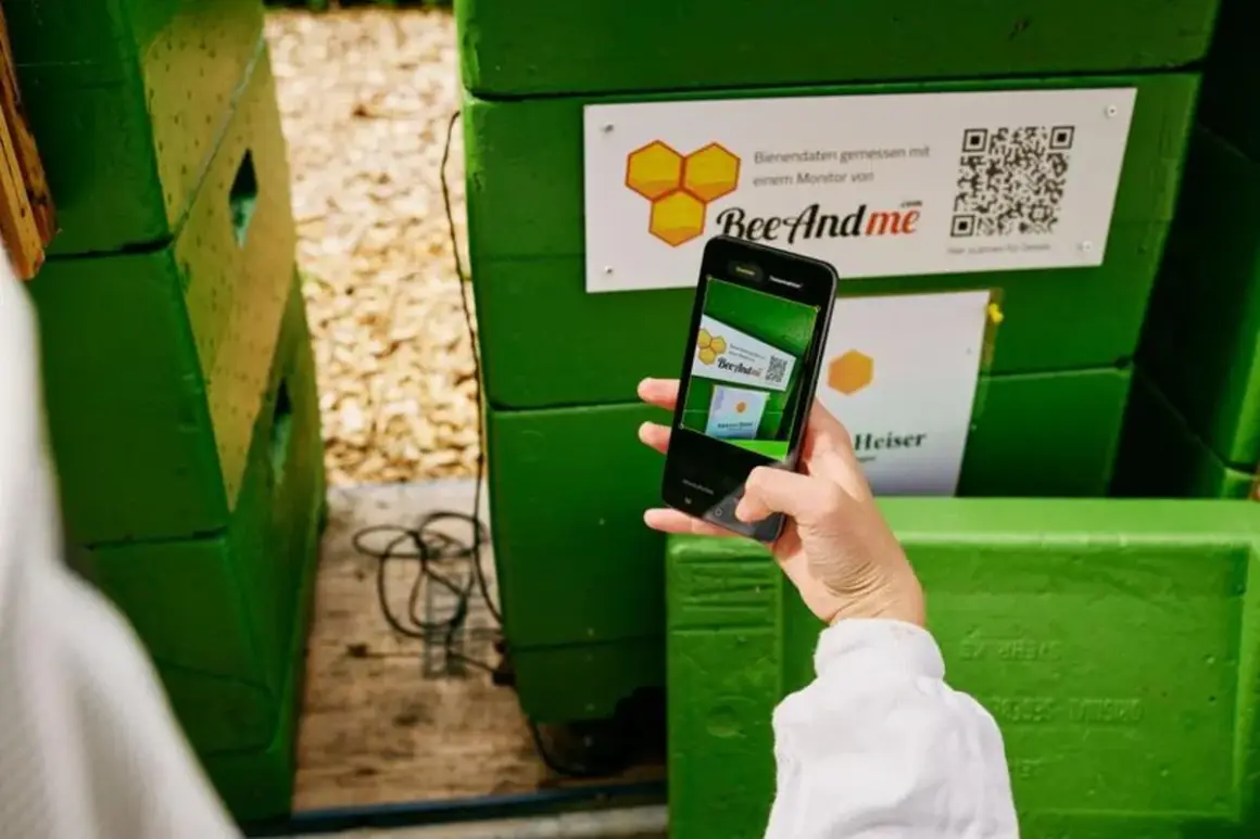 Ręka trzyma telefon, skanując kod QR na zielonym ulu.