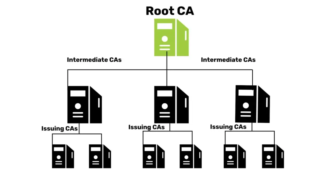 Hierarchia public key infrastructure: Root CA na szczycie, poniżej Intermediate CAs, a na dole Issuing CAs.