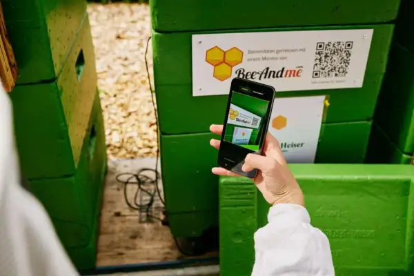 Ręka trzyma telefon, skanując kod QR na zielonym ulu.